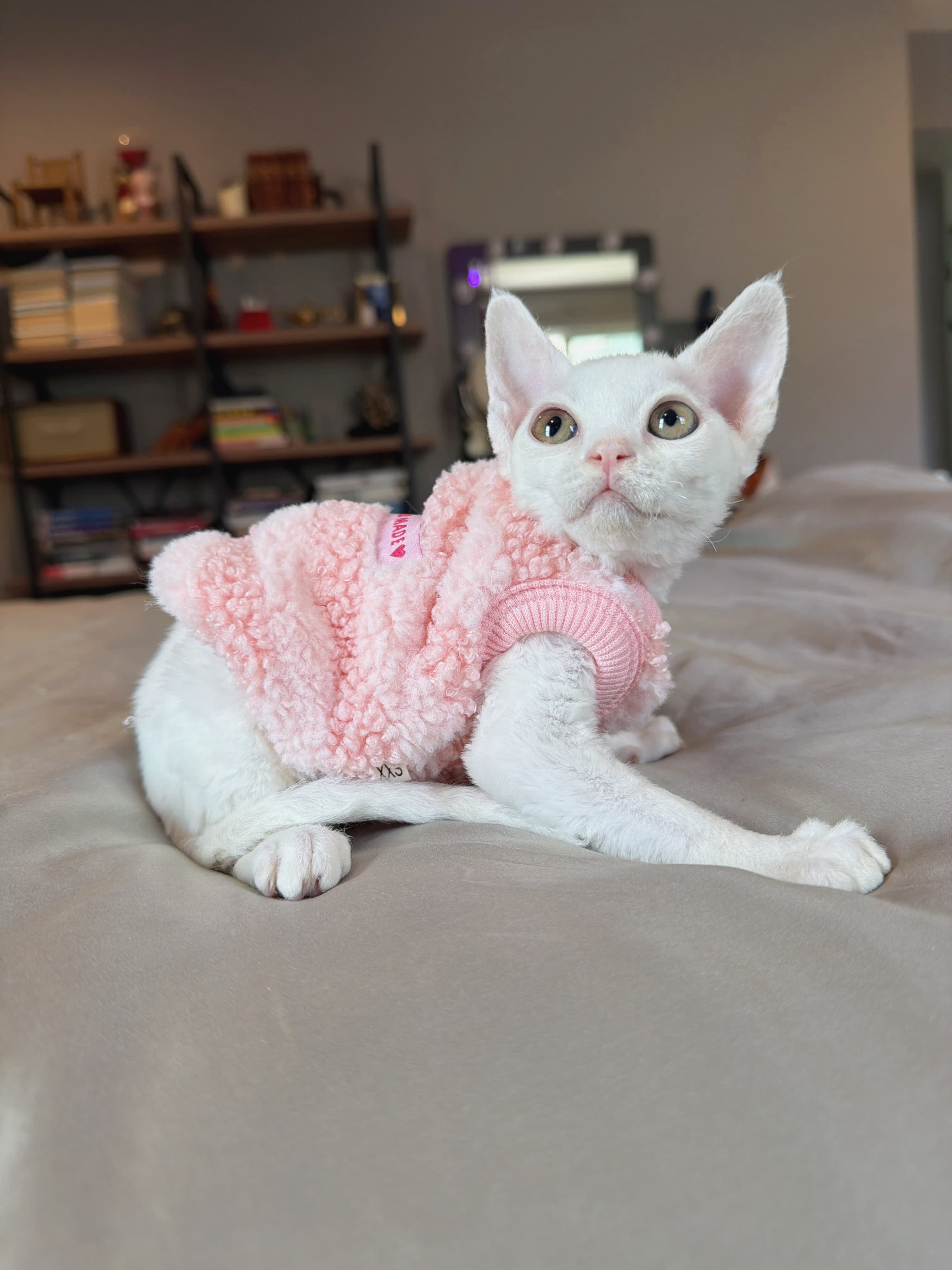 Mochi