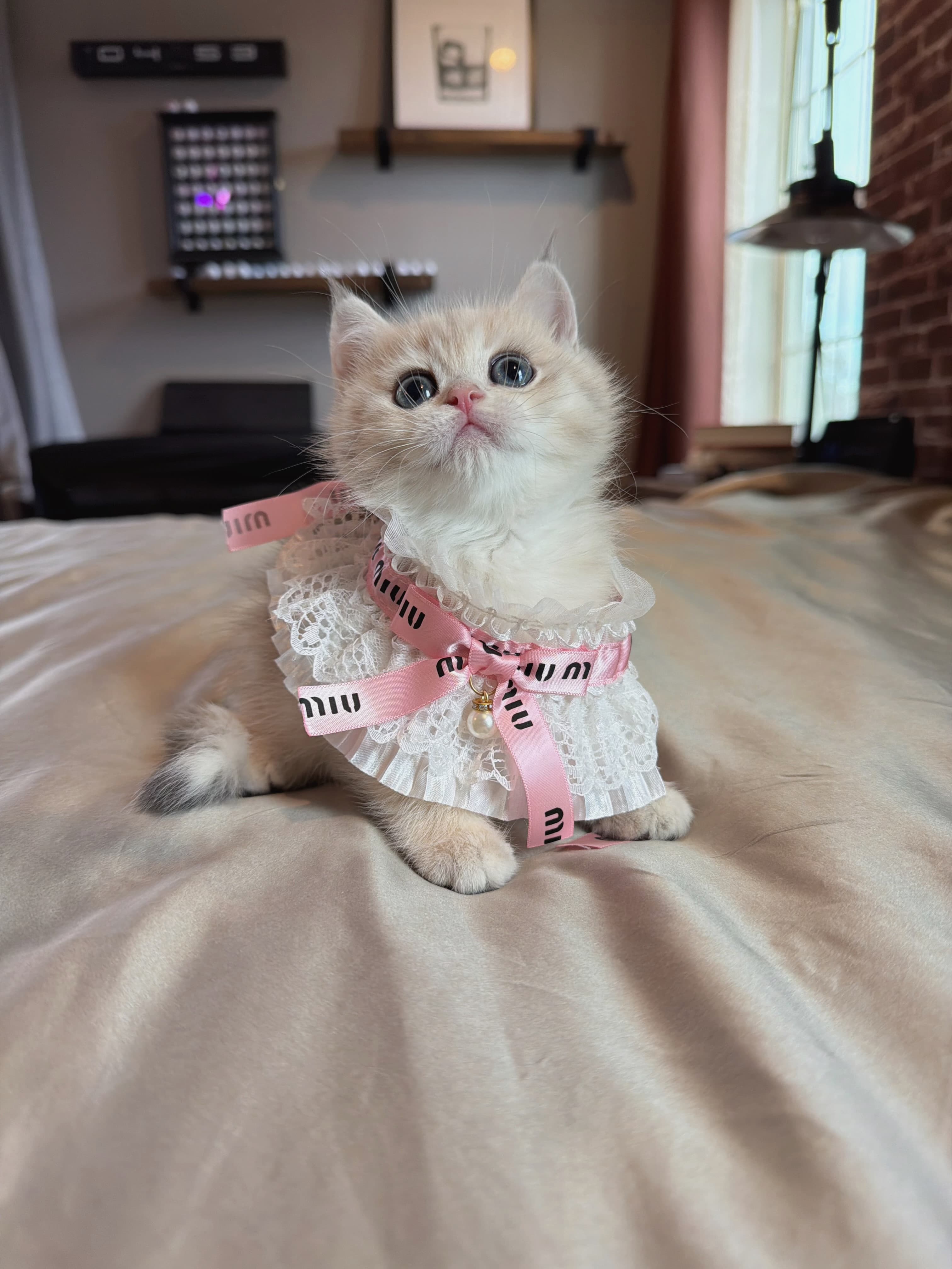 Elsie