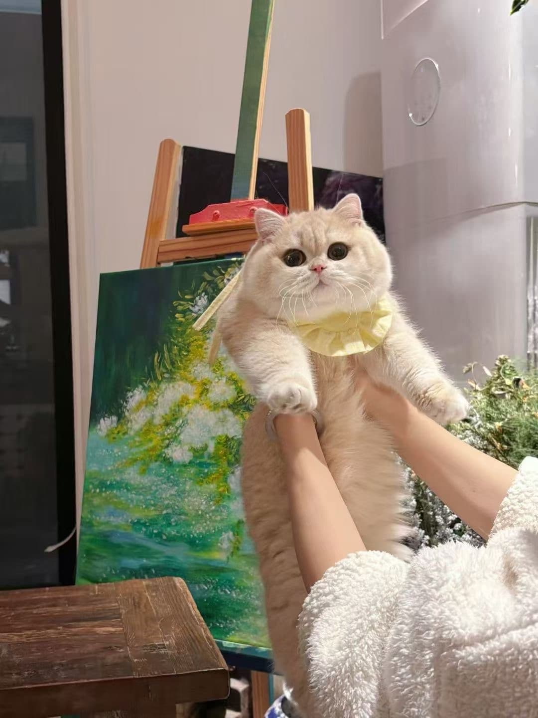 August