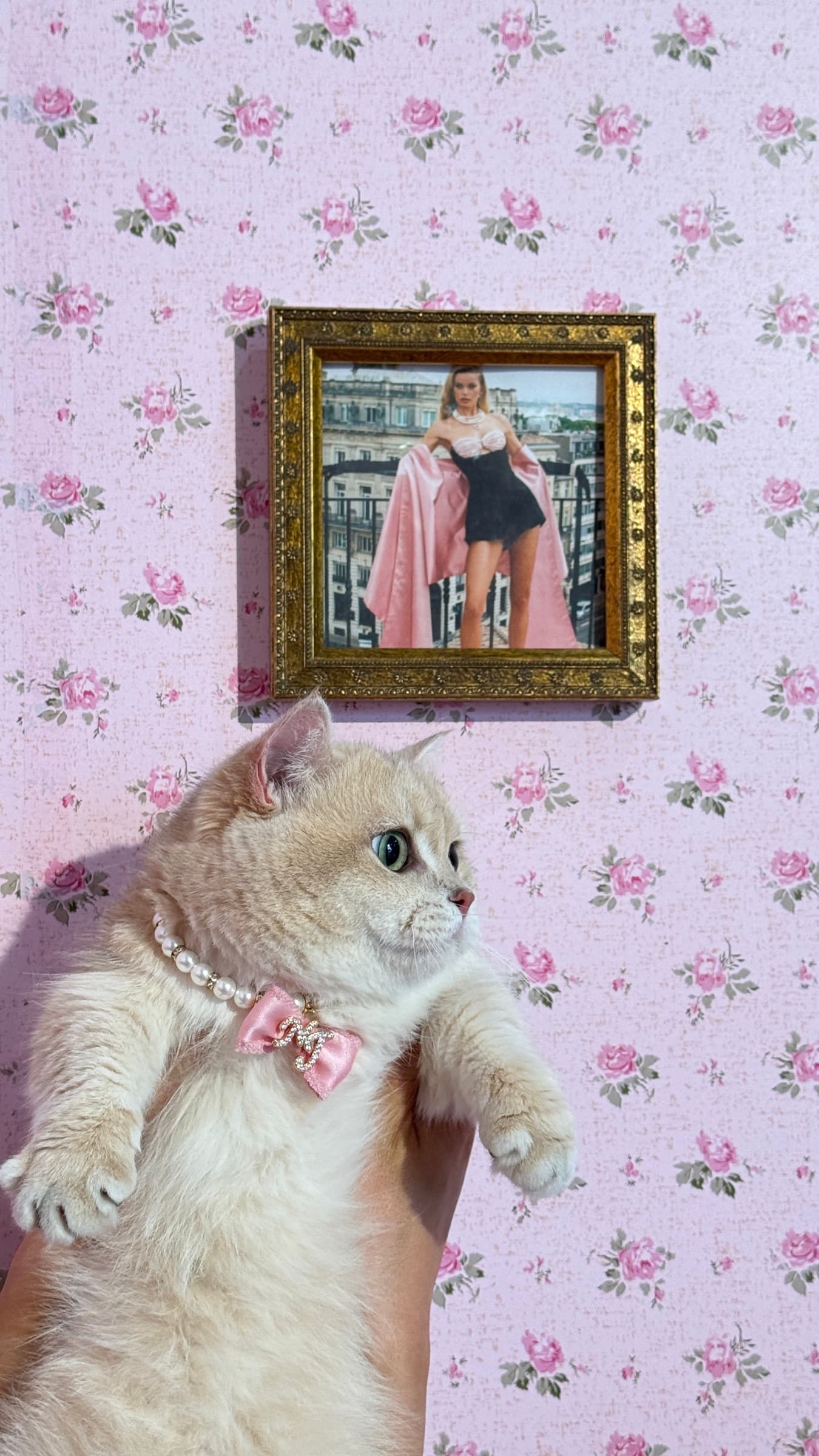 Behind the scenes at the Nana Jacqueline 2025 photoshoot