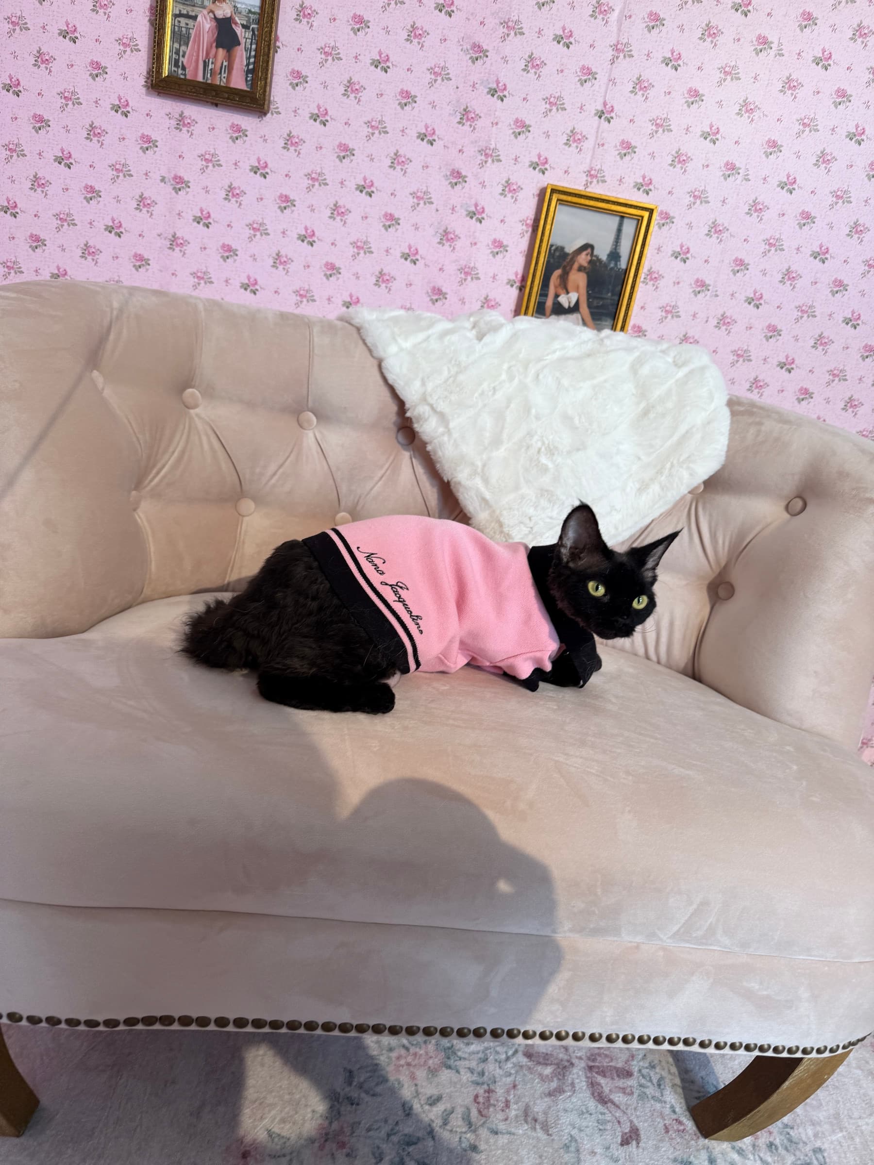 Behind the scenes at the Nana Jacqueline 2025 photoshoot
