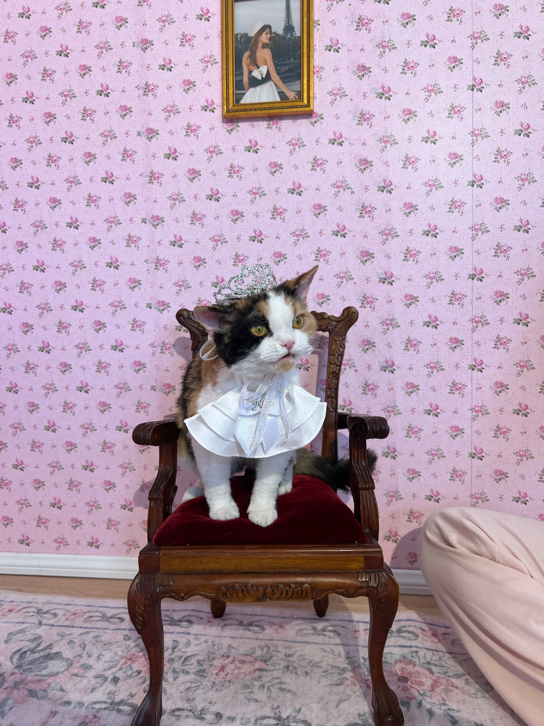 Behind the scenes at the Nana Jacqueline 2025 photoshoot