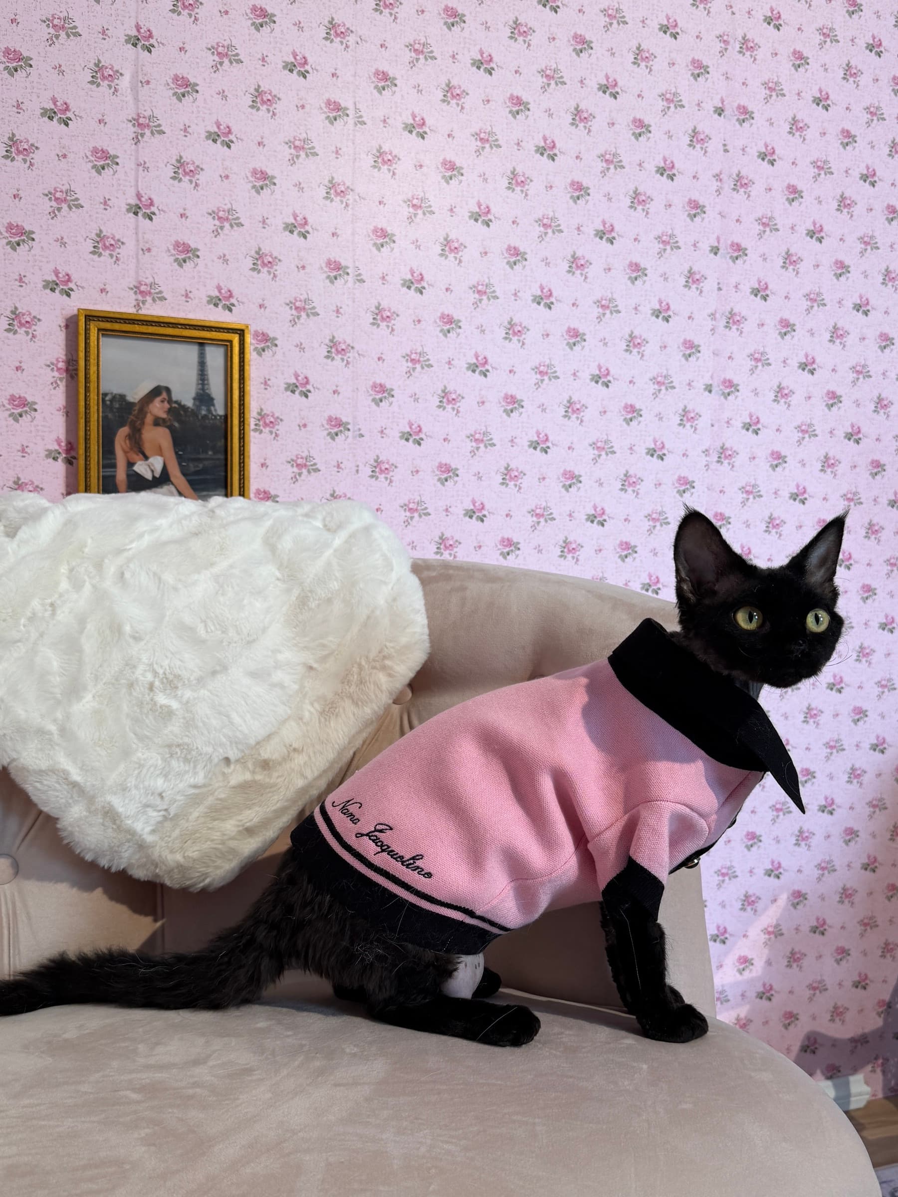 Behind the scenes at the Nana Jacqueline 2025 photoshoot