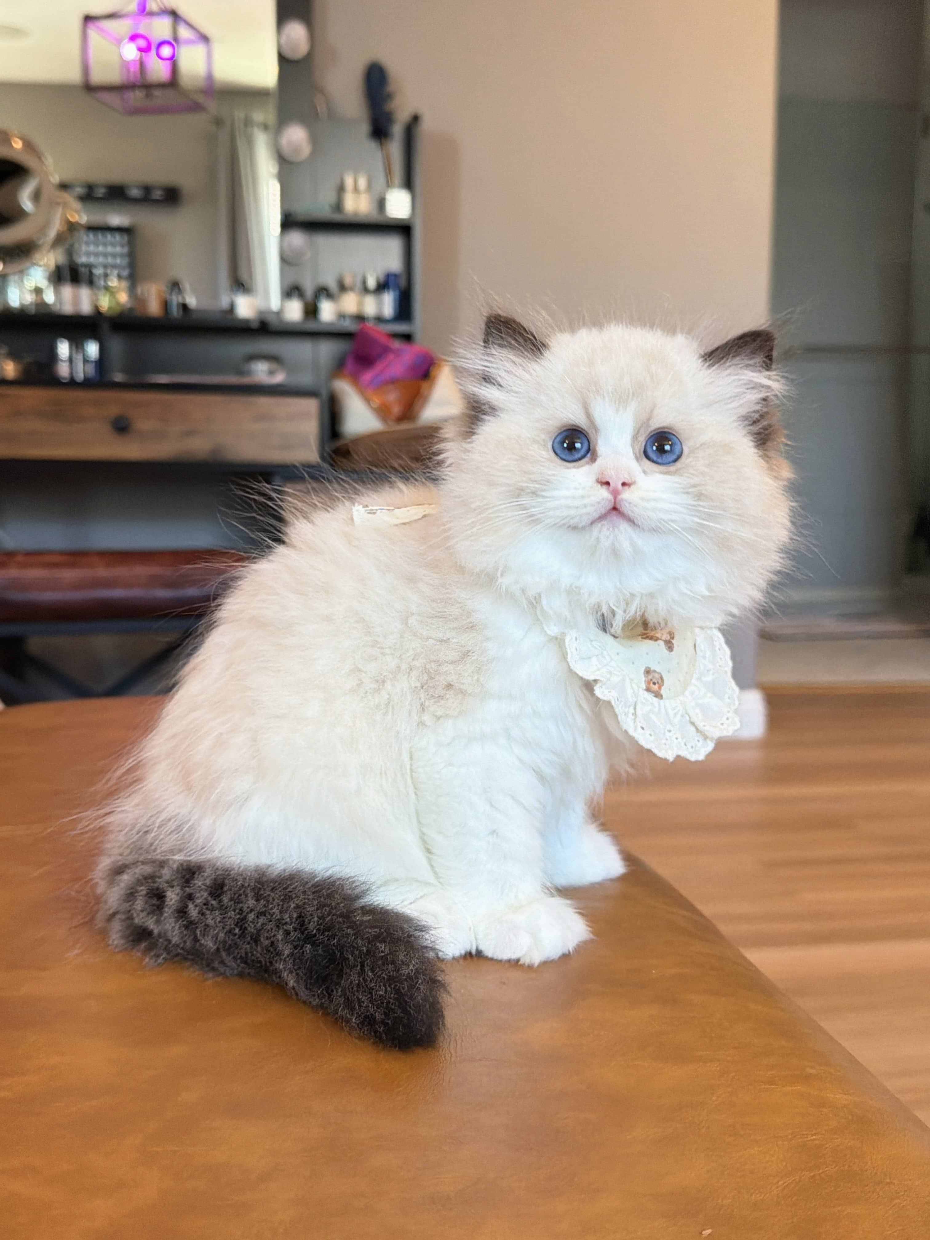 milo