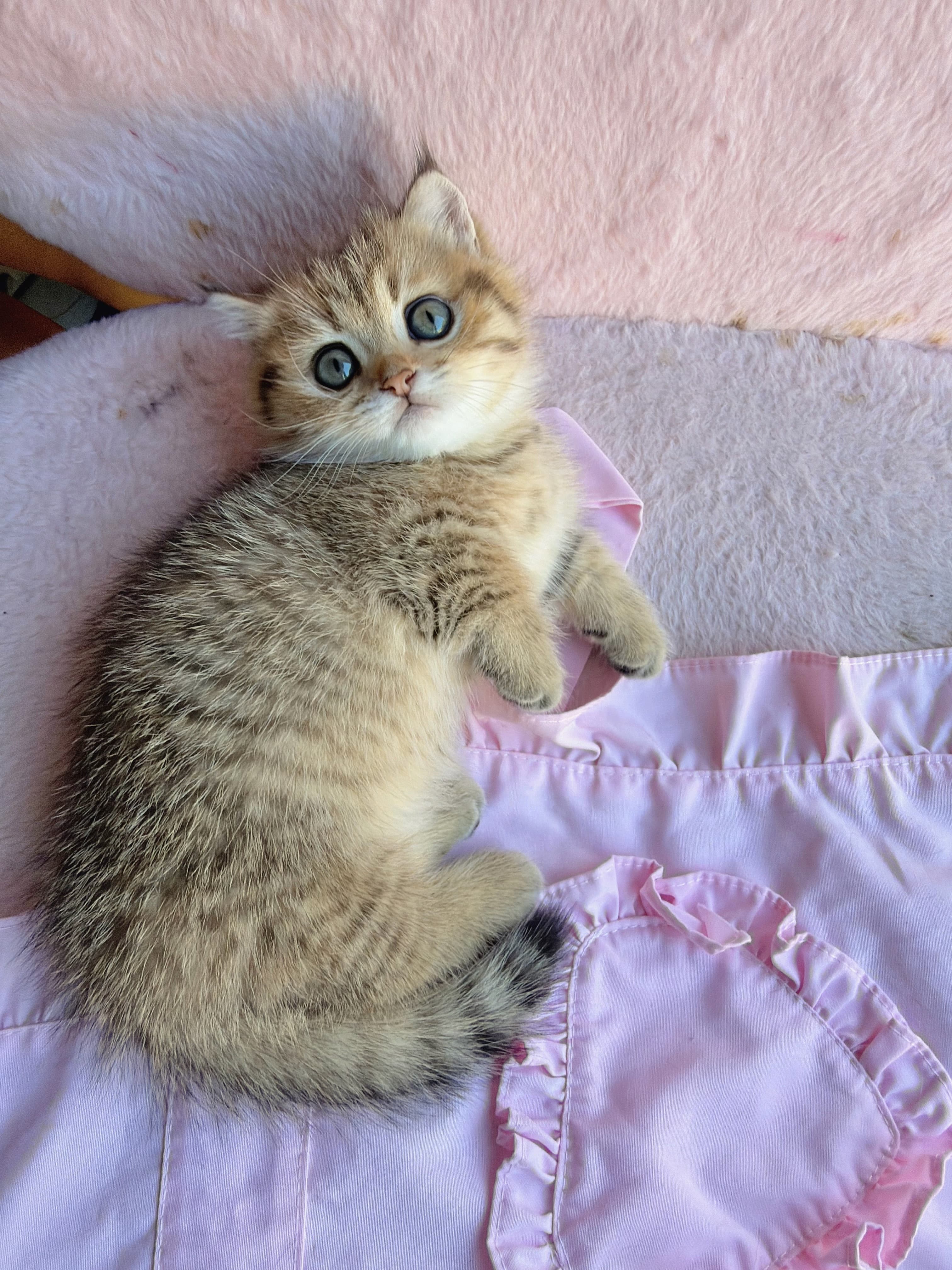 Winnie